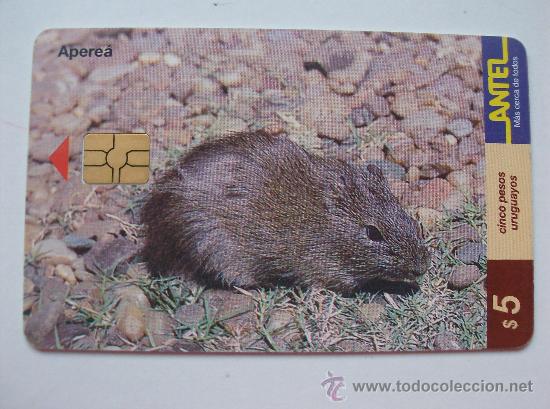 Sammlung von Telefonkarten: TARJETA TELEFONO DE URUGAY, ANTEL.  ANIMALES