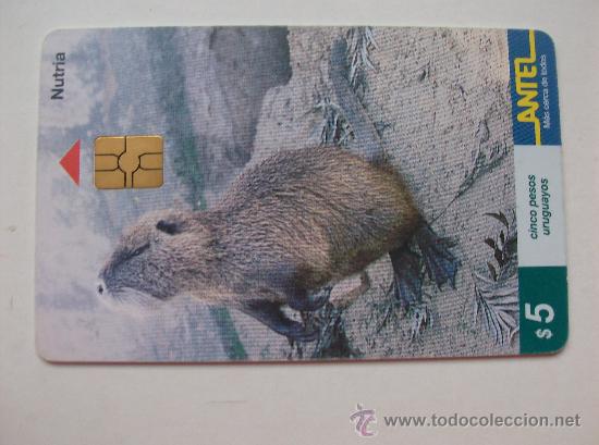 Sammlung von Telefonkarten: TARJETA TELEFONO DE URUGAY, ANTEL. ANIMALES