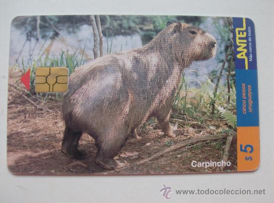 Sammlung von Telefonkarten: TARJETA TELEFONO DE URUGAY, ANTEL. ANIMALES