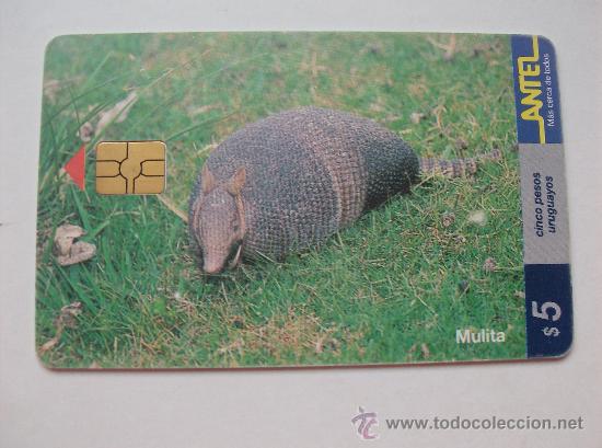 Sammlung von Telefonkarten: TARJETA TELEFONO DE URUGAY, ANTEL. ANIMALES