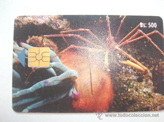 Sammlung von Telefonkarten: TARJETA TELEFONO DE VENEZUELA CANTV  FAUNA MARINA