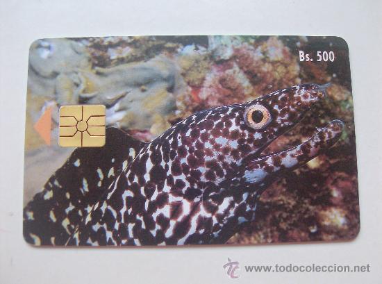 Sammlung von Telefonkarten: TARJETA TELEFONO DE VENEZUELA CANTV  FAUNA MARINA