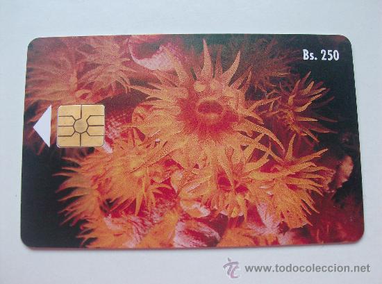 Sammlung von Telefonkarten: TARJETA TELEFONO DE VENEZUELA CANTV  FAUNA MARINA
