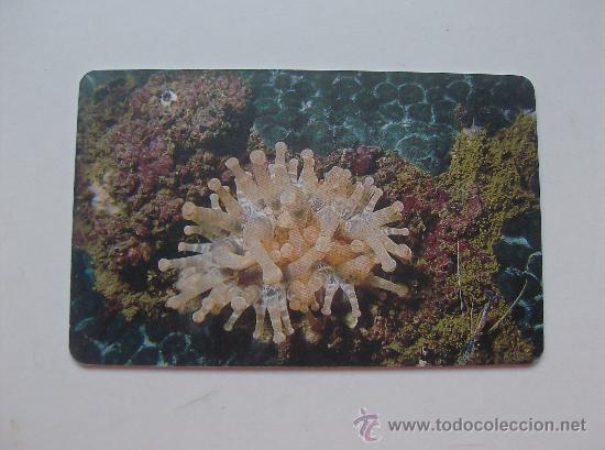 Sammlung von Telefonkarten: TARJETA TELEFONO DE VENEZUELA CANTV  FAUNA MARINA