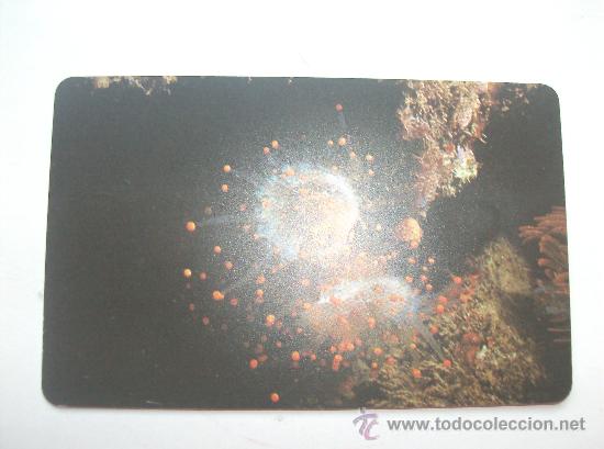 Sammlung von Telefonkarten: TARJETA TELEFONO DE VENEZUELA CANTV  FAUNA MARINA