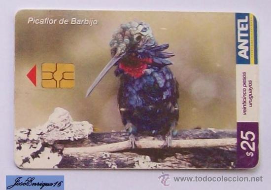 Cartes T&eacute;l&eacute;phoniques de collection: TC 377a BIRD, PAJARO PICAFLOR DE BARBIJO, HELIOMASTER FURCIFER. URUGUAY, ANTEL.