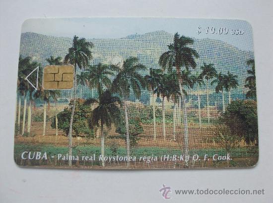 Sammlung von Telefonkarten: TARJETA TELEFONO CUBA. PALMERA REAL TIRADA 22.000