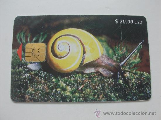 Sammlung von Telefonkarten: TARJETA TELEFONO CUBA. CARACOL PRIMERA EMISION TIRADA 30.000