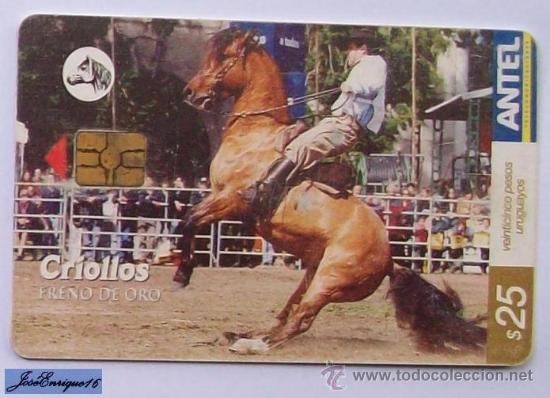 Cart&otilde;es de telefone de cole&ccedil;&atilde;o: TC 386a URUGUAY. CABALLOS CRIOLLOS, FRENO DE ORO. chevaux cr&eacute;oles, frein GOLD.Creole horses, BRAKE G