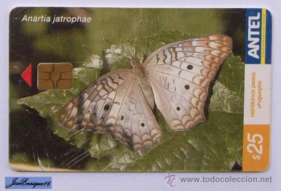 Cartes T&eacute;l&eacute;phoniques de collection: TC 388a Butterfly, MARIPOSA. ANARTIA JATROPHAE. ANTEL, URUGUAY.