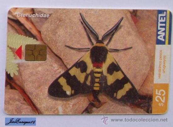 Cart&otilde;es de telefone de cole&ccedil;&atilde;o: TC 389a Butterfly, MARIPOSA. CTENUCHIDAE. ANTEL, URUGUAY.