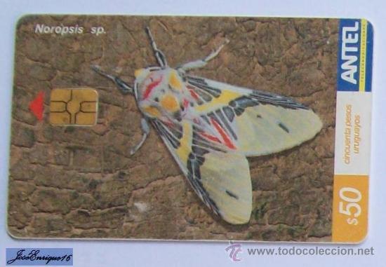 Cartes T&eacute;l&eacute;phoniques de collection: TC 390a Butterfly, MARIPOSA. NOROPSIS SP FAMILIA NOCTUIDAE. ANTEL, URUGUAY.