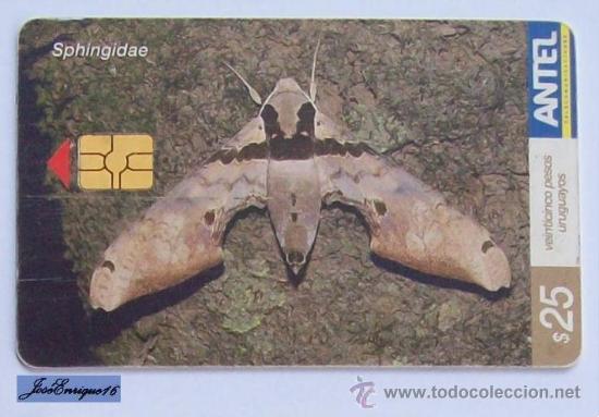 Cartes T&eacute;l&eacute;phoniques de collection: TC 391a Butterfly, MARIPOSA. SPHINGIDAE. ANTEL, URUGUAY.