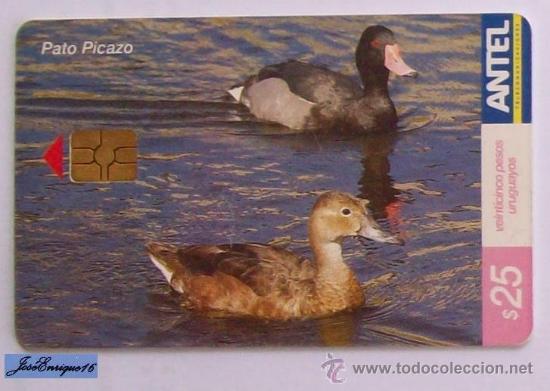 Cart&otilde;es de telefone de cole&ccedil;&atilde;o: TC 416a DUCK , PATO PICAZO, NETTA PEPOSACA. ANTEL, URUGUAY.