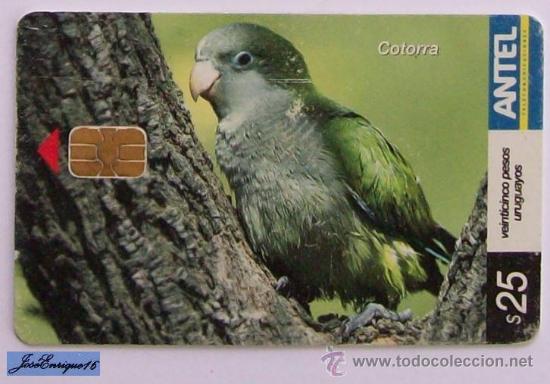 Cartes T&eacute;l&eacute;phoniques de collection: TC 421a BIRD, Perroquet, Parrot. COTORRA, MYOPSITTA MONACHUS. ANTEL, URUGUAY.