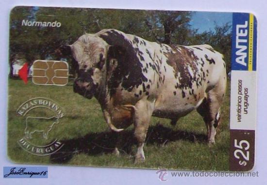 Cartes T&eacute;l&eacute;phoniques de collection: TC 433a URUGUAY, RAZAS BOBINAS, COILS BREED, BOBINES RACE. NORMANDO. ANTEL