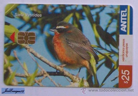 Cartes T&eacute;l&eacute;phoniques de collection: TC 463a BIRD, PAJARO. SIETE VESTIDOS, POOSPIZA NIGRORUFA. ANTEL, URUGUAY