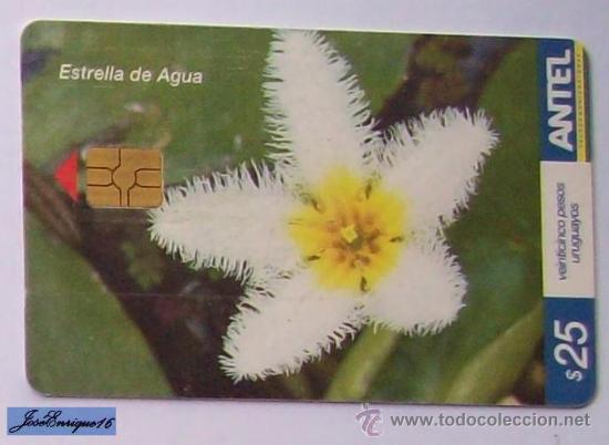 Cartes T&eacute;l&eacute;phoniques de collection: TC 472a PLANTA FLOTANTE, ESTRELLA DE AGUA, NYMPHOIDES HUMBOLDTIANA. ANTEL, URUGUAY