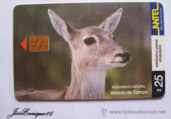 Cartes T&eacute;l&eacute;phoniques de collection: TC 94a VENADO DE CAMPO, DEER DOMAINE, DEER FIELD. ANTEL URUGUAY