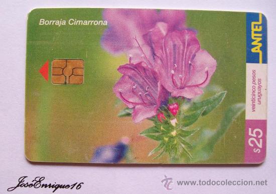 Cartes T&eacute;l&eacute;phoniques de collection: TC 235a PLANTA BORRAJA CIMARRONA, CIMARRON PLANT. URUGUAY, ANTEL