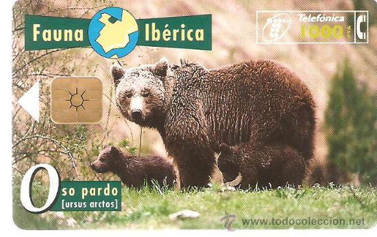 Cartes T&eacute;l&eacute;phoniques de collection: TARJETA TELEFONICA FAUNA IBERICA OSO PARDO 1000 PESETAS A&Ntilde;OS 90 USADA