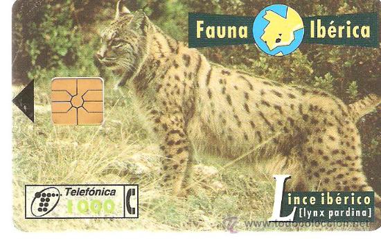 Cartes T&eacute;l&eacute;phoniques de collection: TARJETA TELEFONICA FAUNA IBERICA LINZE IBERICO 1000 PESETAS A&Ntilde;OS 90 USADA