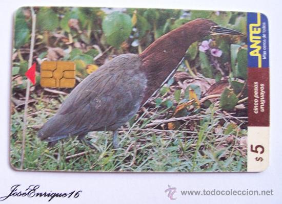 Cartes T&eacute;l&eacute;phoniques de collection: TC 70a  bird, oiseaux, ave del URUGUAY, GARZA COLORADA, TIGRISOMA LINEATUM
