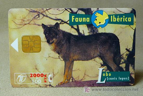 Cartes T&eacute;l&eacute;phoniques de collection: TARJETA TELEFONICA, FAUNA IBERICA, LOBO, PESETAS