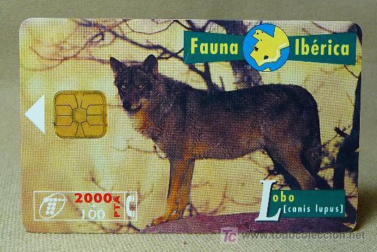 Cartes T&eacute;l&eacute;phoniques de collection: TARJETA TELEFONICA, FAUNA IBERICA, LOBO, PESETAS