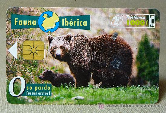 Cartes T&eacute;l&eacute;phoniques de collection: TARJETA TELEFONICA, FAUNA IBERICA, OSO PARDO, PESETAS