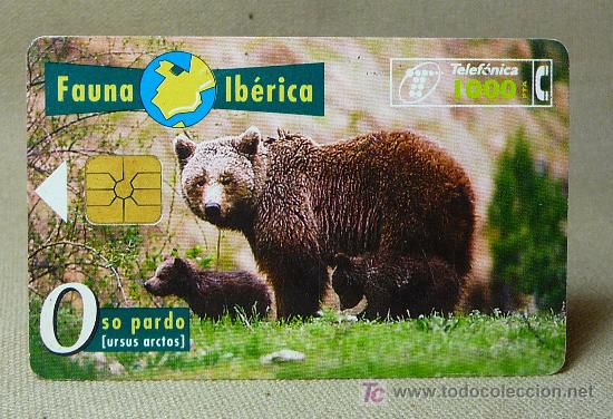 Cartes T&eacute;l&eacute;phoniques de collection: TARJETA TELEFONICA, FAUNA IBERICA, OSO PARDO, PESETAS