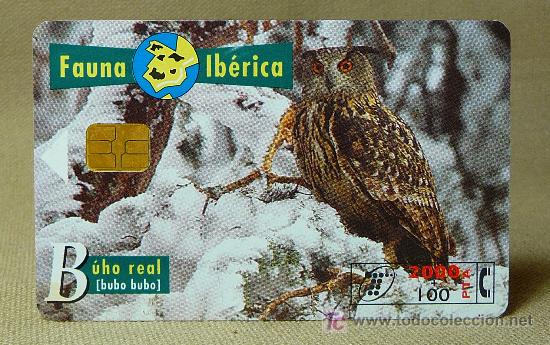 Cartes T&eacute;l&eacute;phoniques de collection: TARJETA TELEFONICA, FAUNA IBERICA, BUHO REAL, PESETAS