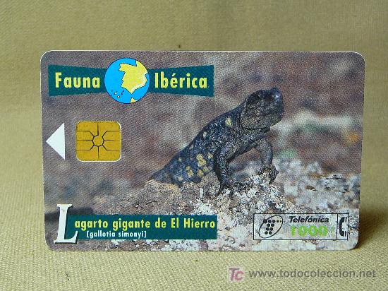 Cartes T&eacute;l&eacute;phoniques de collection: TARJETA TELEFONICA, FAUNA IBERICA, LAGARTO GIGANTE DE EL HIERRO, PESETAS