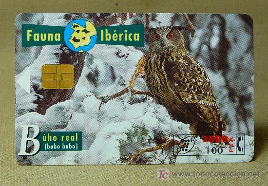 Cartes T&eacute;l&eacute;phoniques de collection: TARJETA TELEFONICA, FAUNA IBERICA, BUHO REAL, PESETAS