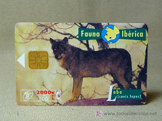 Cartes T&eacute;l&eacute;phoniques de collection: TARJETA TELEFONICA, FAUNA IBERICA, LOBO, PESETAS
