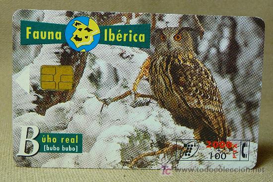Cartes T&eacute;l&eacute;phoniques de collection: TARJETA TELEFONICA, FAUNA IBERICA, BUHO REAL, PESETAS