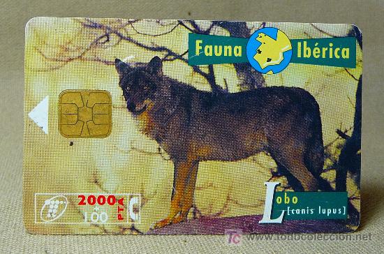 Cartes T&eacute;l&eacute;phoniques de collection: TARJETA TELEFONICA, FAUNA IBERICA, LOBO, PESETAS
