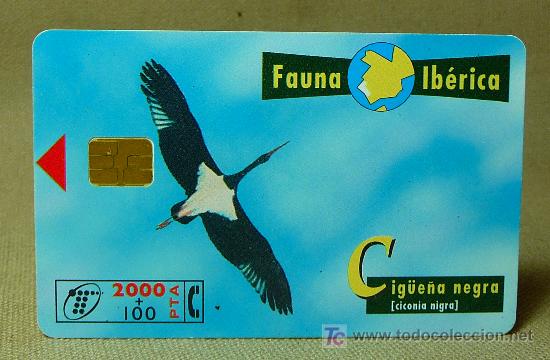 Cartes T&eacute;l&eacute;phoniques de collection: TARJETA TELEFONICA, FAUNA IBERICA, CIGUE&Ntilde;A NEGRA, PESETAS