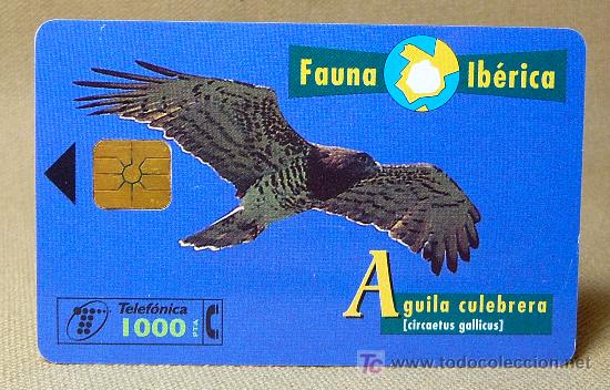 Cartes T&eacute;l&eacute;phoniques de collection: TARJETA TELEFONICA, FAUNA IBERICA, AGUILA CULEBRERA, PESETAS