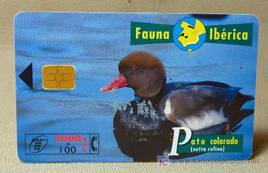 Cartes T&eacute;l&eacute;phoniques de collection: TARJETA TELEFONICA, FAUNA IBERICA, PATO COLORADO, PESETAS