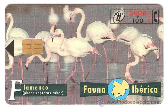 Sammlung von Telefonkarten: TARJETA TELEFONICA FAUNA IBERICA FLAMENCO 2000 PESETAS A&Ntilde;OS 90 USADA