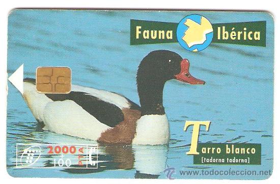 Sammlung von Telefonkarten: TARJETA TELEFONICA FAUNA IBERICA TARRO BLANCO 2000 PESETAS A&Ntilde;OS 90 USADA