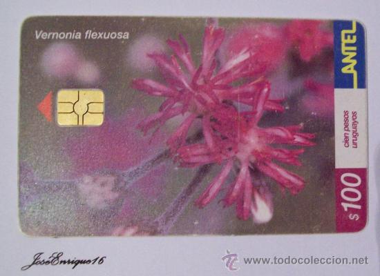 Sammlung von Telefonkarten: TC 218a YERBA DEL SUDOR, VERNONIA FLEXUOSA, URUGUAY