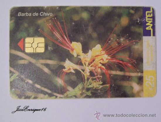 Sammlung von Telefonkarten: TC 227a BARBA DE CHIVO, CAESALPINIA GILLESII - URUGUAY