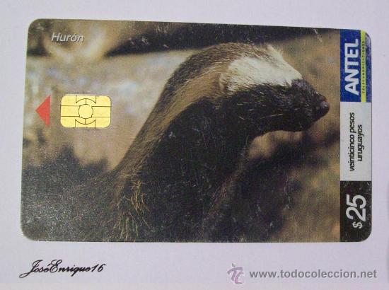 Sammlung von Telefonkarten: TC 276a HURON, GALICTIS CUJA, ANTEL URUGUAY