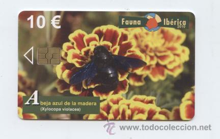 Collection telephone cards: SERIE FAUNA IBERICA. ABEJA AZUL DE LA MADERA. FACIAL 10 &euro;. USADA