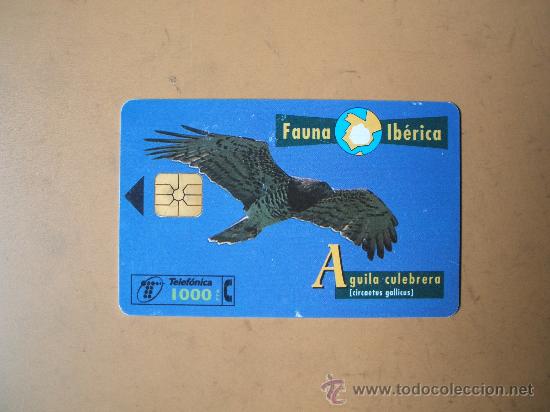 Sammlung von Telefonkarten: tarjeta telefonica,fauna iberica,aguila culebrera 1000 pesetas