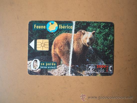 Sammlung von Telefonkarten: tarjeta telefonica espa&ntilde;a,fauna iberica,oso pardo, 2000 + 100 pesetas