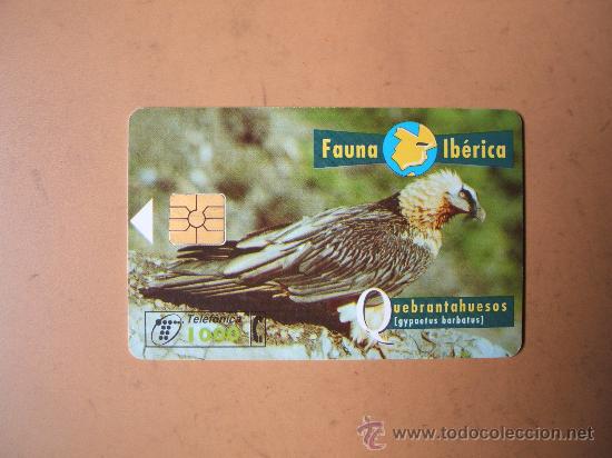 Sammlung von Telefonkarten: tarjeta telefonica espa&ntilde;a,fauna iberica,quebrantahuesos, 1000 pesetas