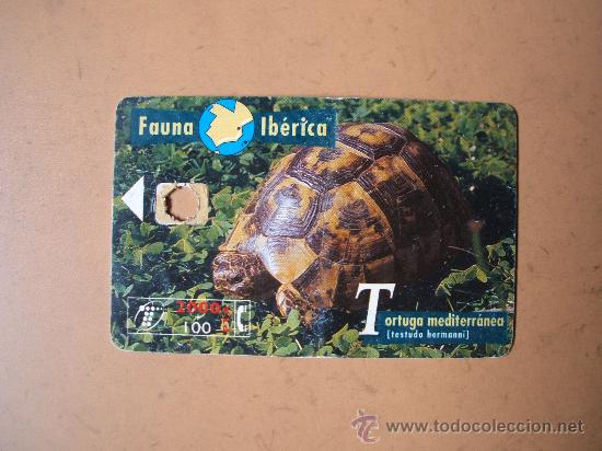 Sammlung von Telefonkarten: tarjeta telefonica espa&ntilde;a,fauna iberica,tortuga mediterranea, 2000+100 pesetas